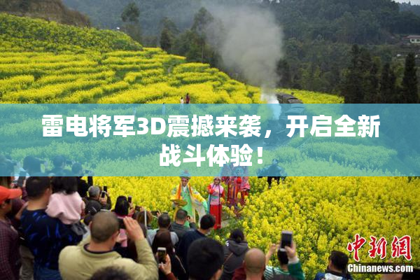 雷电将军3D震撼来袭，开启全新战斗体验！