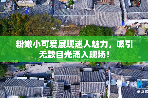 粉嫩小可爱展现迷人魅力，吸引无数目光涌入现场！