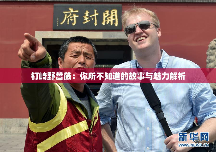 钉崎野蔷薇：你所不知道的故事与魅力解析