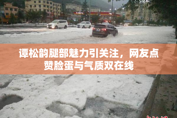 谭松韵腿部魅力引关注，网友点赞脸蛋与气质双在线