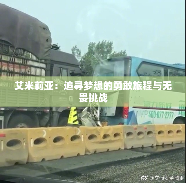 艾米莉亚：追寻梦想的勇敢旅程与无畏挑战