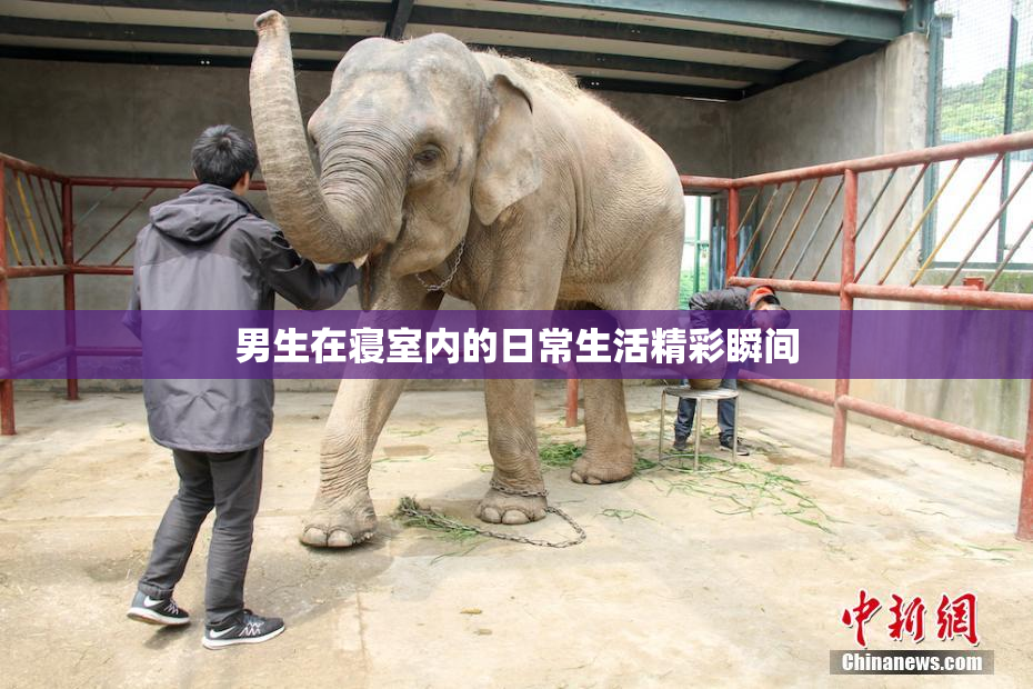 男生在寝室内的日常生活精彩瞬间
