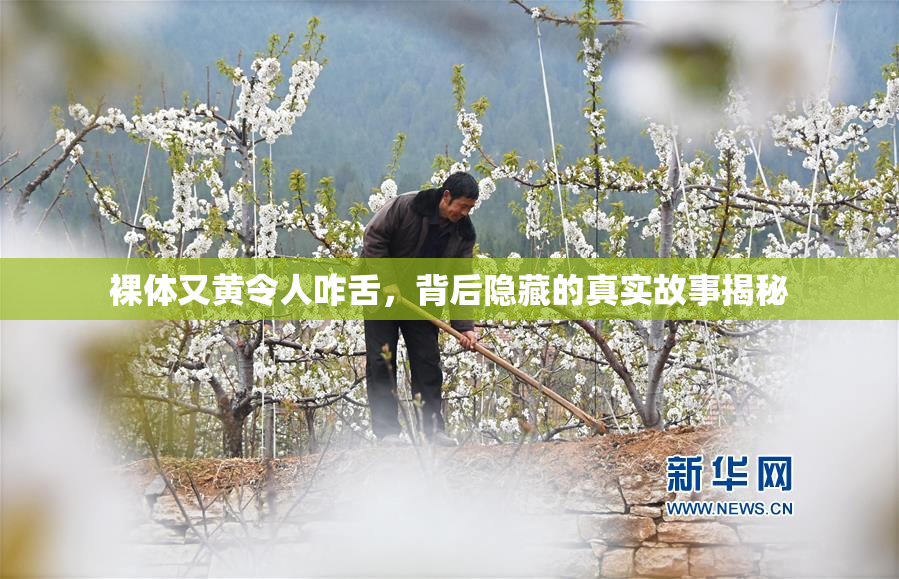 裸体又黄令人咋舌，背后隐藏的真实故事揭秘