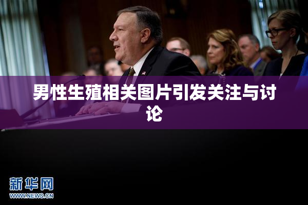 男性生殖相关图片引发关注与讨论