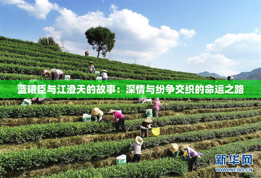 蓝曦臣与江澄天的故事：深情与纷争交织的命运之路