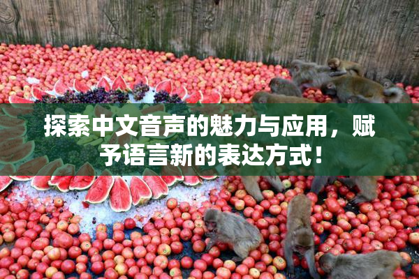 探索中文音声的魅力与应用，赋予语言新的表达方式！