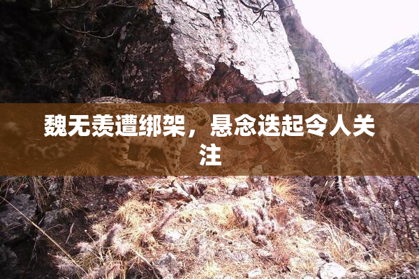 魏无羡遭绑架，悬念迭起令人关注