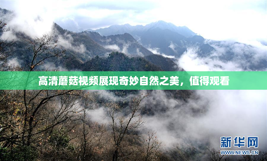 高清蘑菇视频展现奇妙自然之美，值得观看