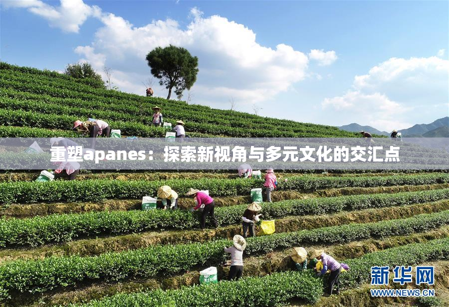重塑apanes：探索新视角与多元文化的交汇点