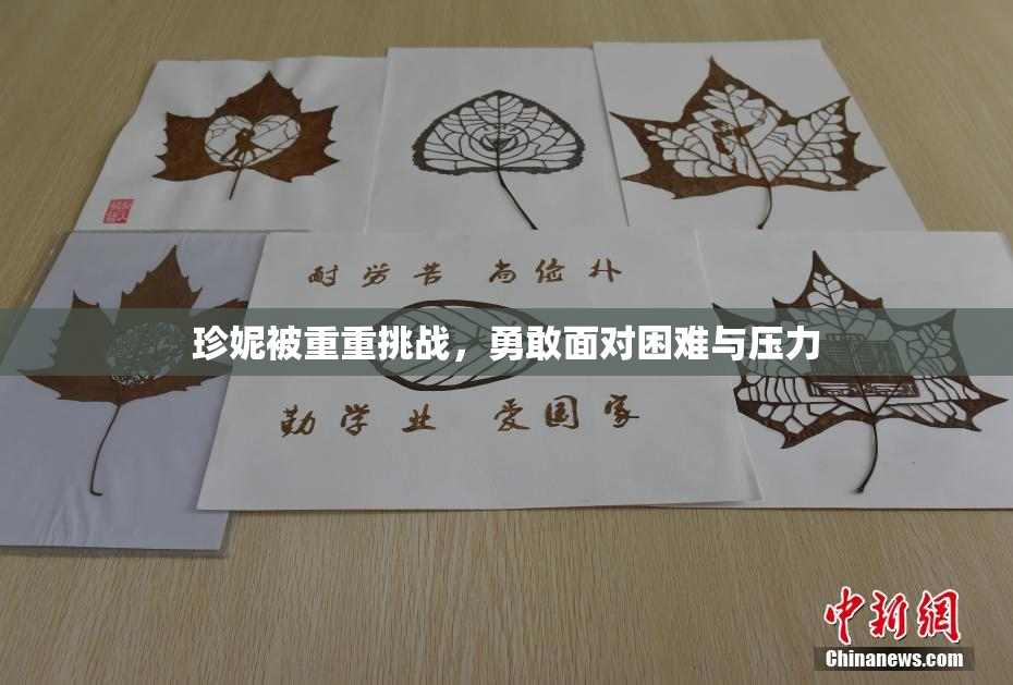 珍妮被重重挑战，勇敢面对困难与压力