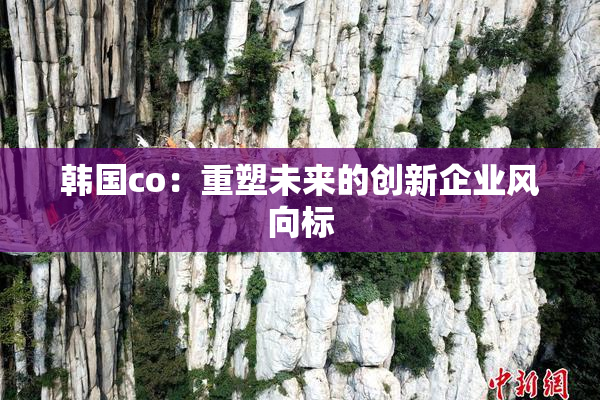 韩国co：重塑未来的创新企业风向标