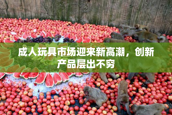 成人玩具市场迎来新高潮，创新产品层出不穷