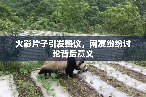火影片子引发热议，网友纷纷讨论背后意义