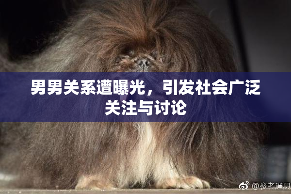 男男关系遭曝光，引发社会广泛关注与讨论