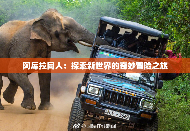 阿库拉同人：探索新世界的奇妙冒险之旅