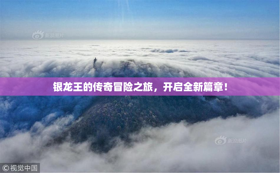 银龙王的传奇冒险之旅，开启全新篇章！