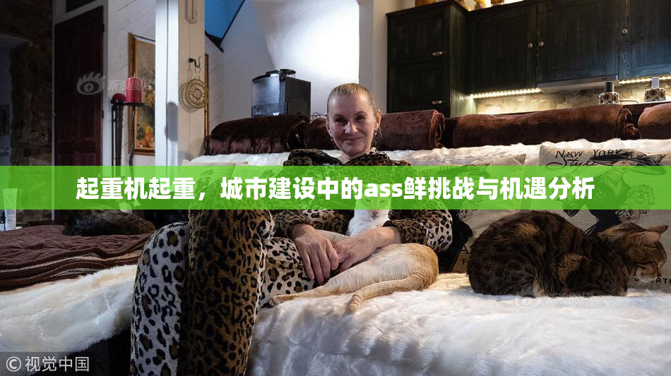起重机起重，城市建设中的ass鲜挑战与机遇分析