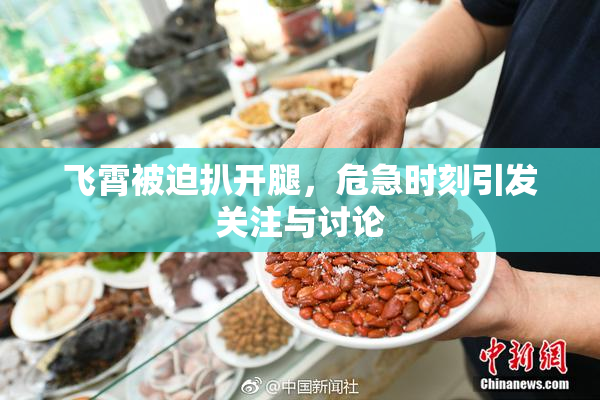 飞霄被迫扒开腿，危急时刻引发关注与讨论