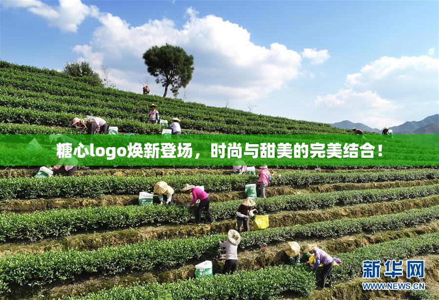 糖心logo焕新登场，时尚与甜美的完美结合！