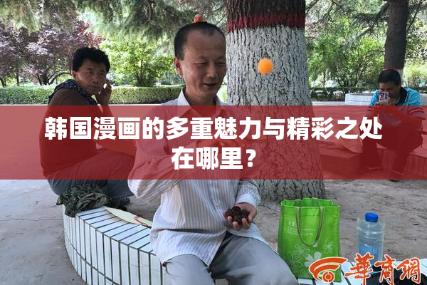 韩国漫画的多重魅力与精彩之处在哪里？