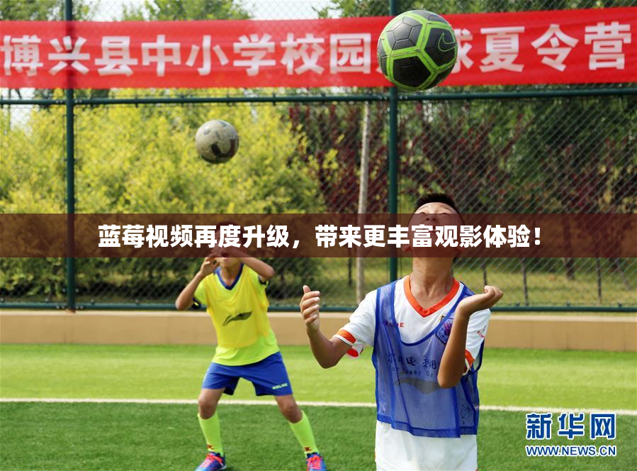 蓝莓视频再度升级，带来更丰富观影体验！