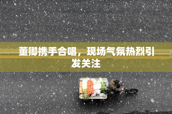 董卿携手合唱，现场气氛热烈引发关注