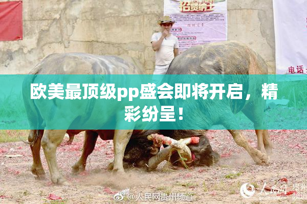 欧美最顶级pp盛会即将开启，精彩纷呈！