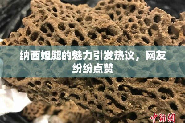 纳西妲腿的魅力引发热议，网友纷纷点赞