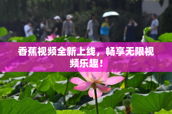 香蕉视频全新上线，畅享无限视频乐趣！