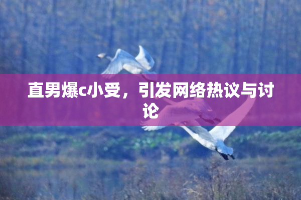 直男爆c小受，引发网络热议与讨论