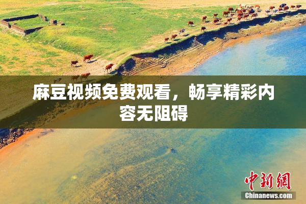麻豆视频免费观看，畅享精彩内容无阻碍