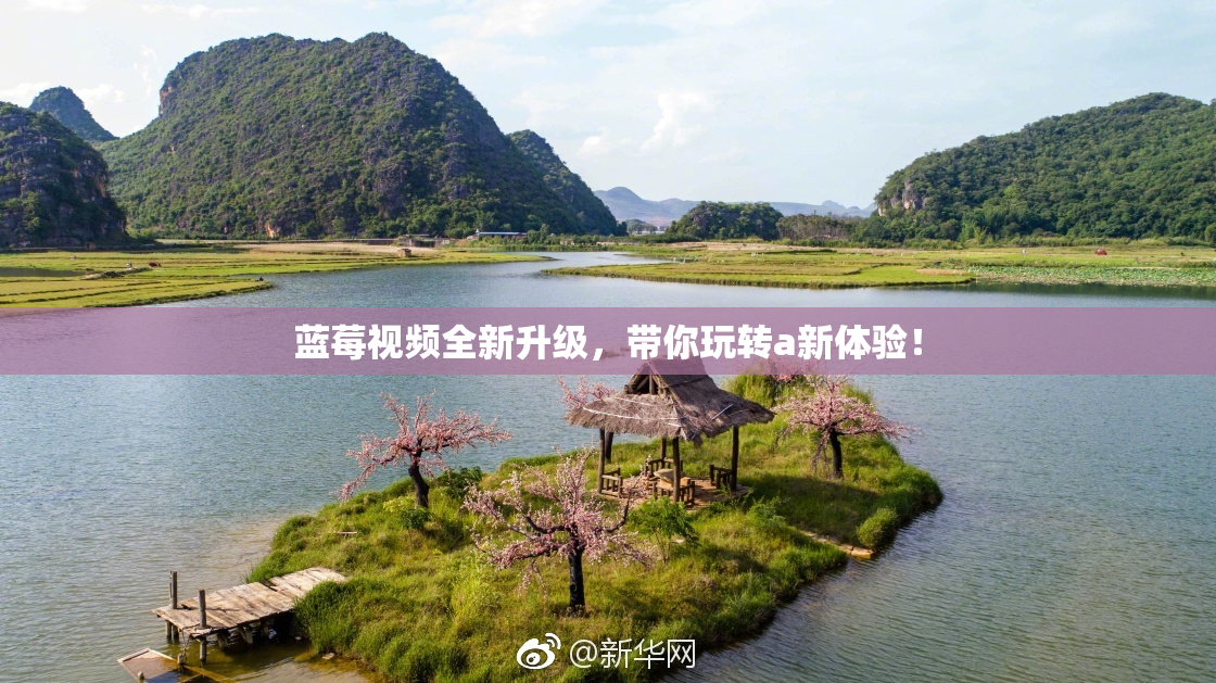 蓝莓视频全新升级，带你玩转a新体验！