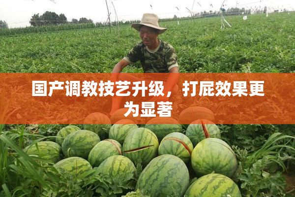 国产调教技艺升级，打屁效果更为显著