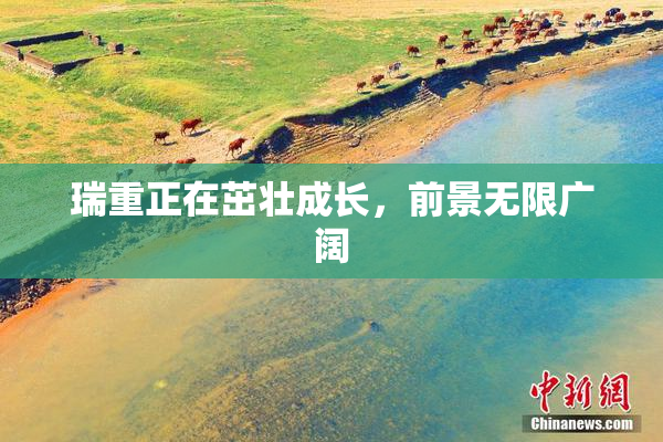 瑞重正在茁壮成长，前景无限广阔