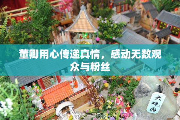 董卿用心传递真情，感动无数观众与粉丝