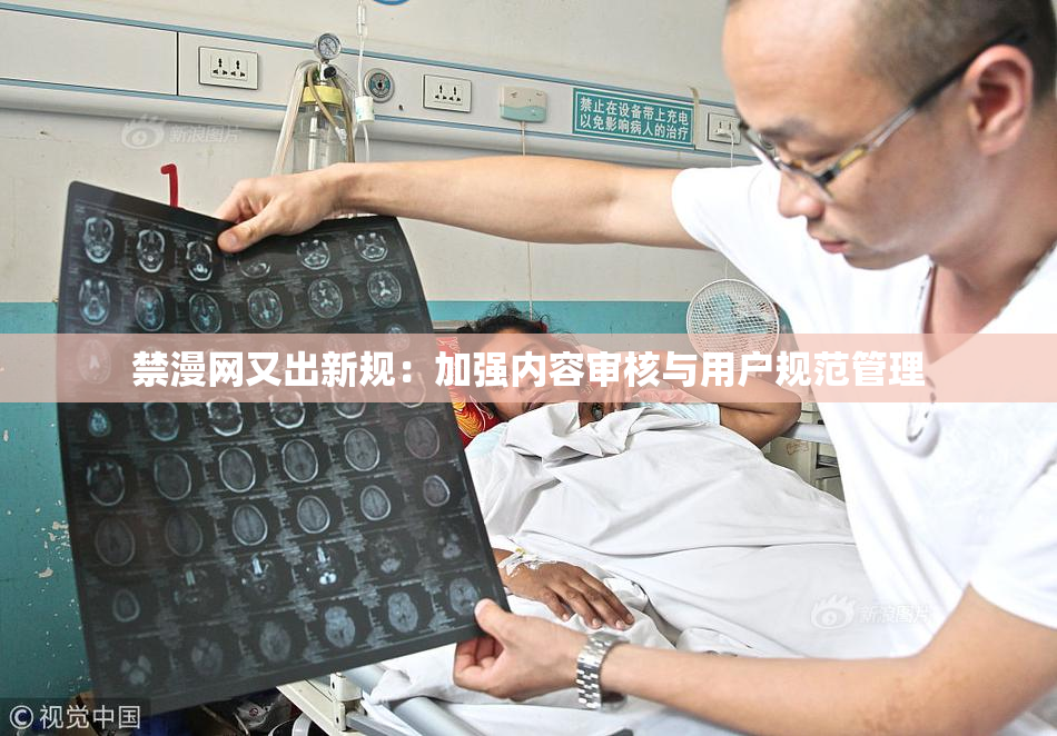 禁漫网又出新规：加强内容审核与用户规范管理