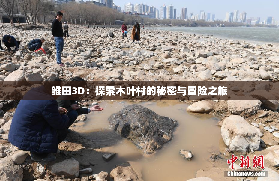 雏田3D：探索木叶村的秘密与冒险之旅