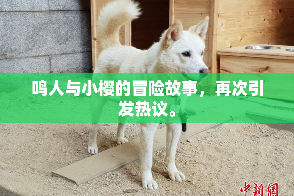 鸣人与小樱的冒险故事，再次引发热议。