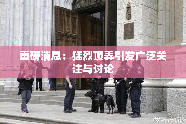 重磅消息：猛烈顶弄引发广泛关注与讨论