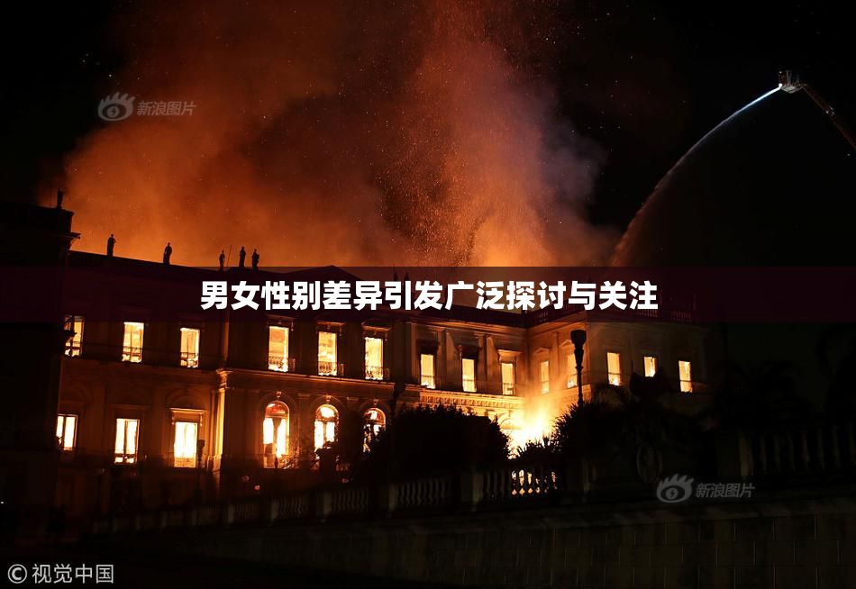 男女性别差异引发广泛探讨与关注