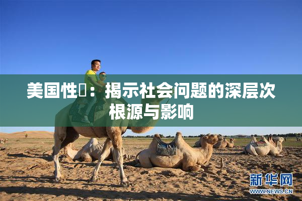 美国性婬：揭示社会问题的深层次根源与影响