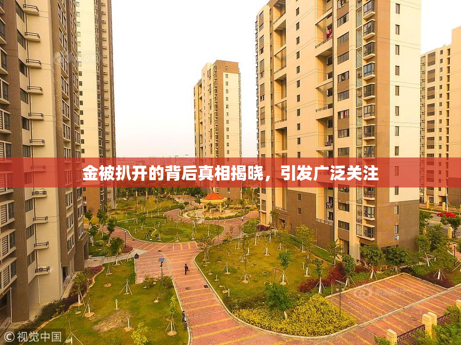 金被扒开的背后真相揭晓，引发广泛关注