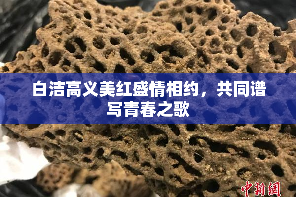 白洁高义美红盛情相约，共同谱写青春之歌
