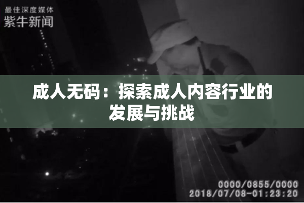 成人无码：探索成人内容行业的发展与挑战