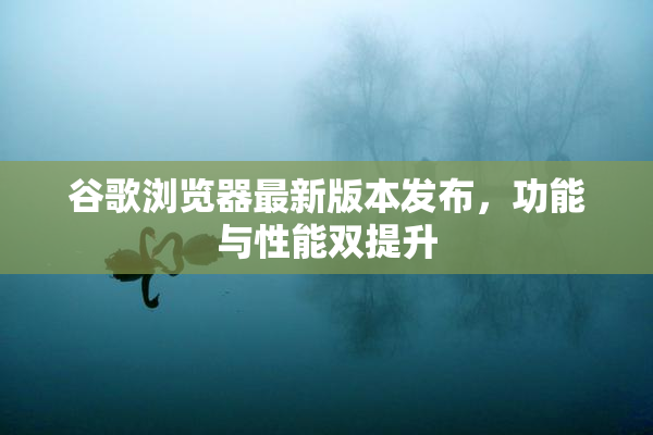 谷歌浏览器最新版本发布，功能与性能双提升