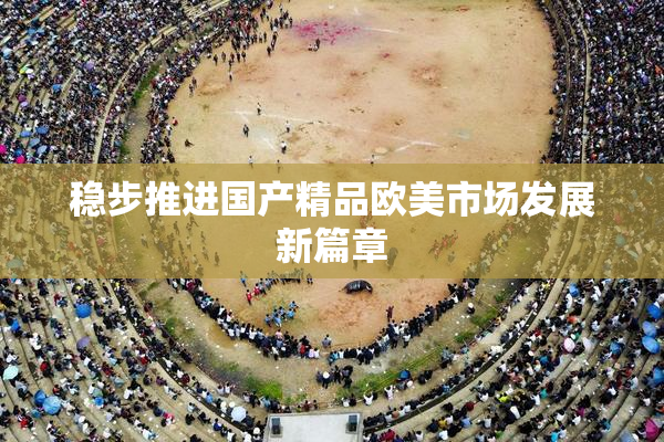稳步推进国产精品欧美市场发展新篇章