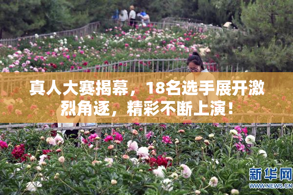 真人大赛揭幕，18名选手展开激烈角逐，精彩不断上演！