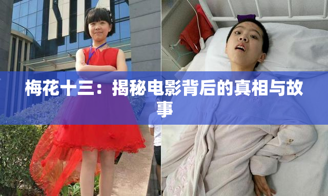 梅花十三：揭秘电影背后的真相与故事