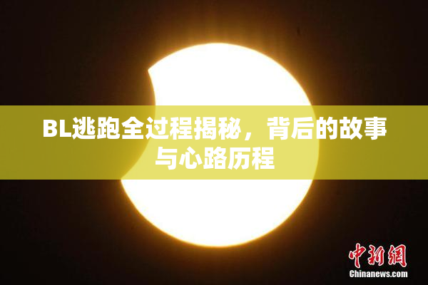 BL逃跑全过程揭秘，背后的故事与心路历程