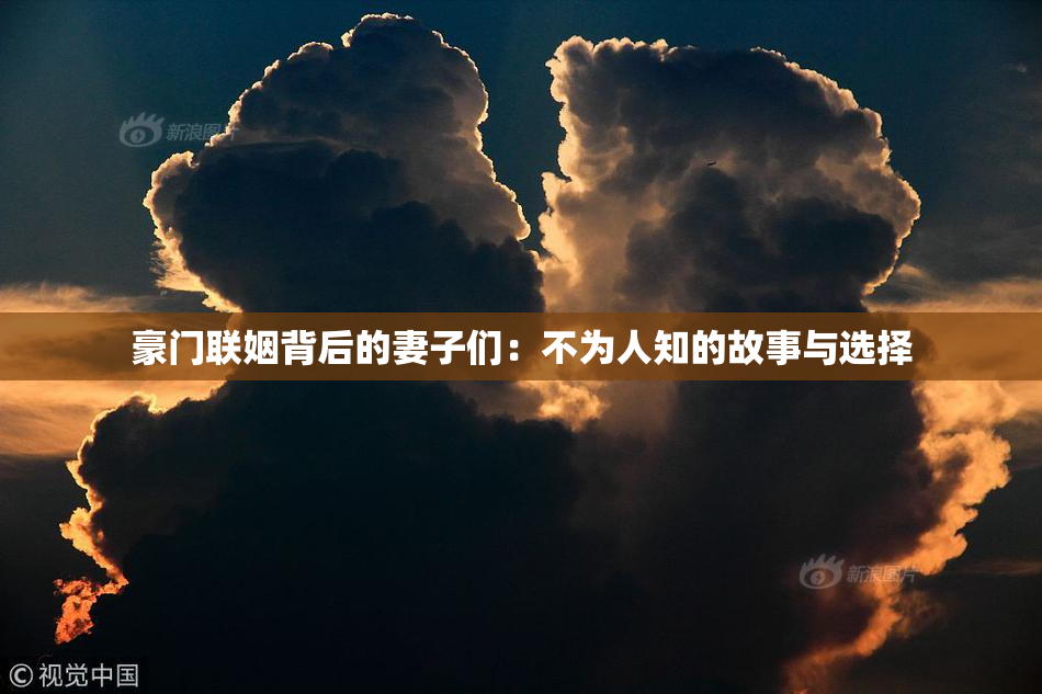 豪门联姻背后的妻子们：不为人知的故事与选择